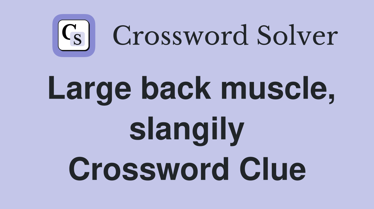Large back muscle, slangily Crossword Clue