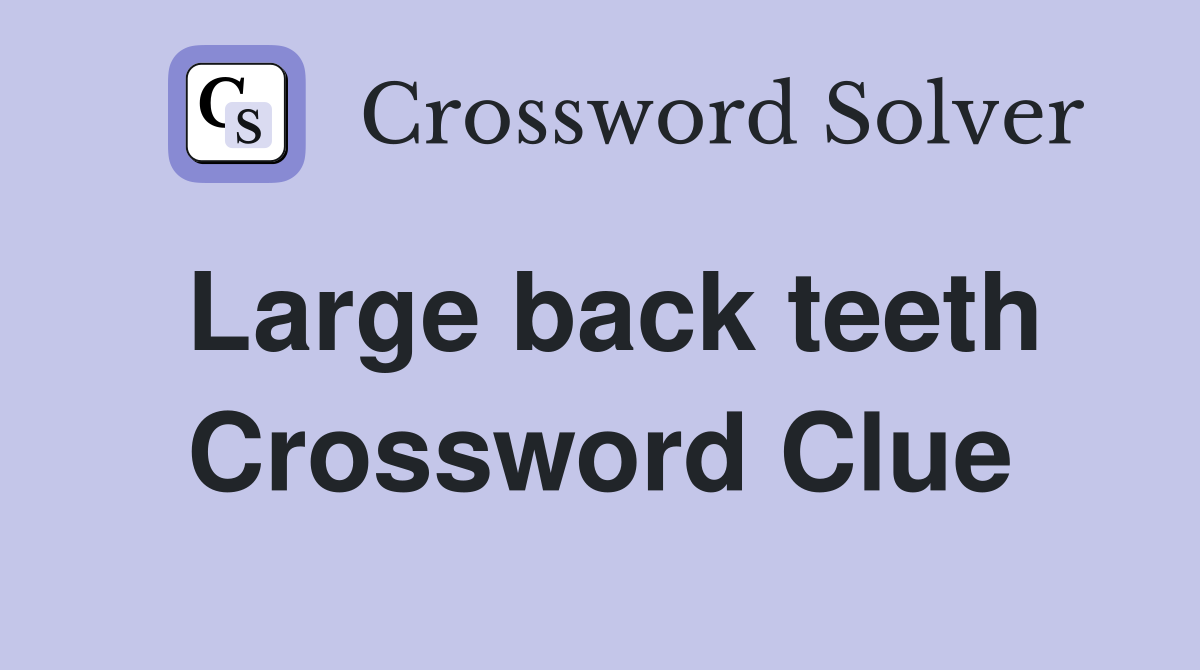 Large back teeth Crossword Clue