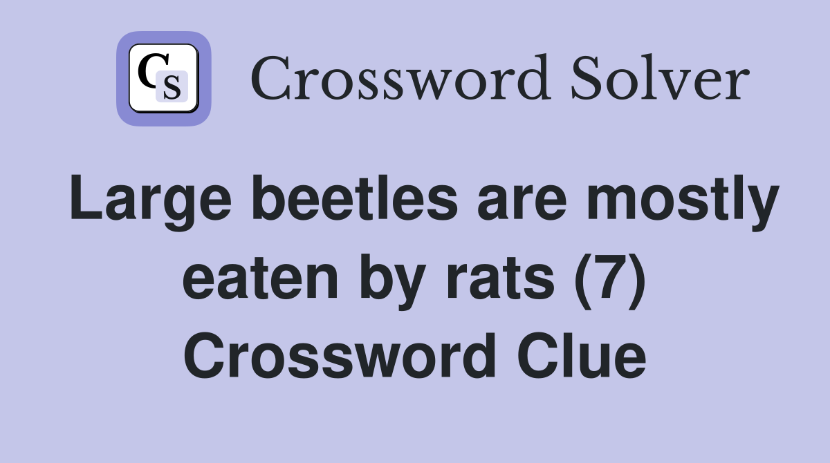 Large beetles are mostly eaten by rats (7) Crossword Clue