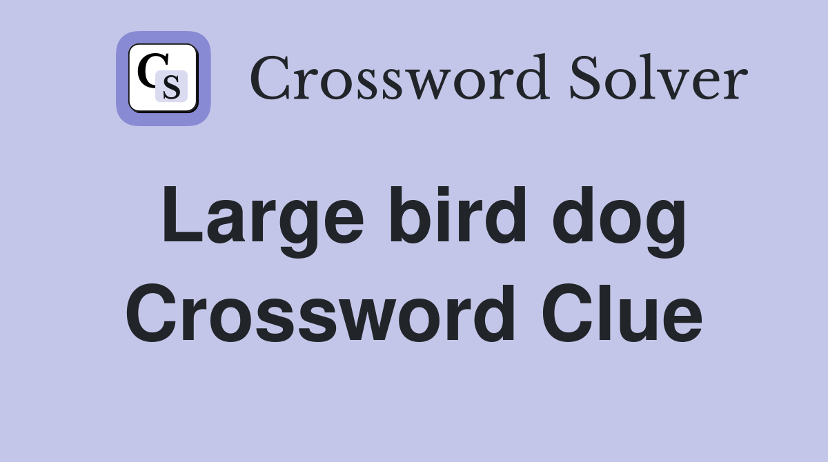Large bird dog Crossword Clue