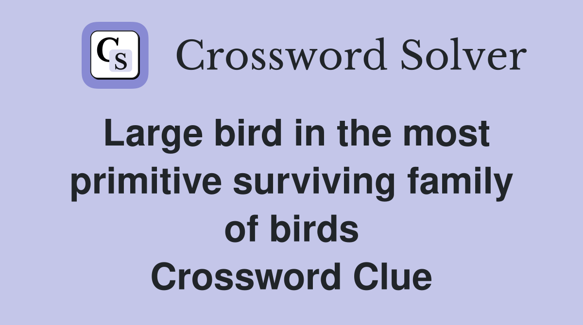 Large bird in the most primitive surviving family of birds Crossword Clue