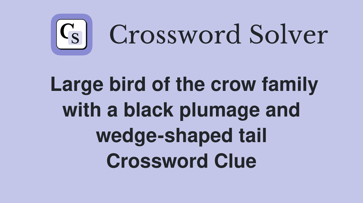 Large bird of the crow family with a black plumage and wedge-shaped tail Crossword Clue