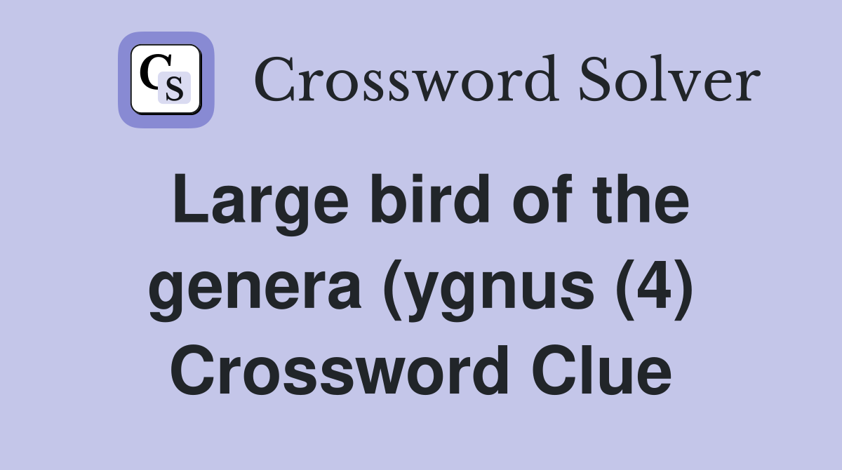 Large bird of the genera (ygnus (4) Crossword Clue