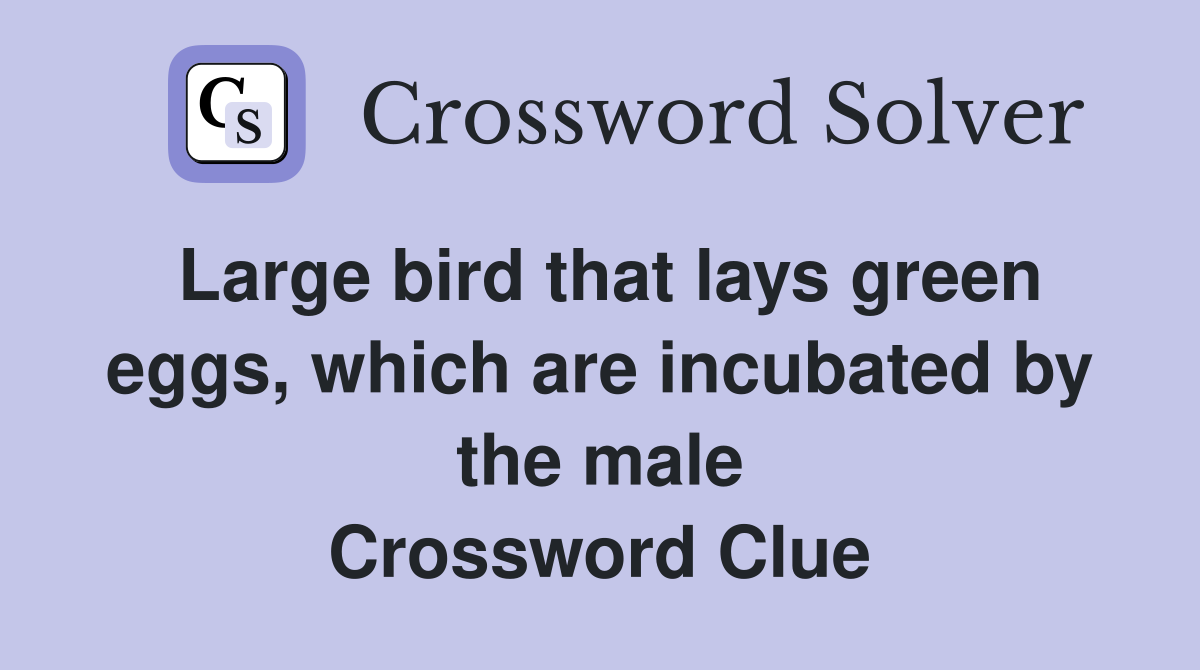 Large bird that lays green eggs, which are incubated by the male Crossword Clue