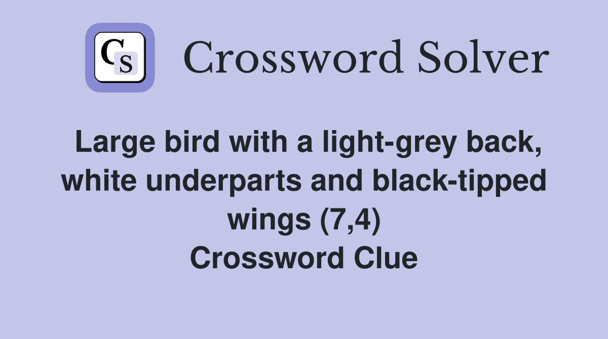 Large bird with a light-grey back, white underparts and black-tipped wings (7,4) Crossword Clue