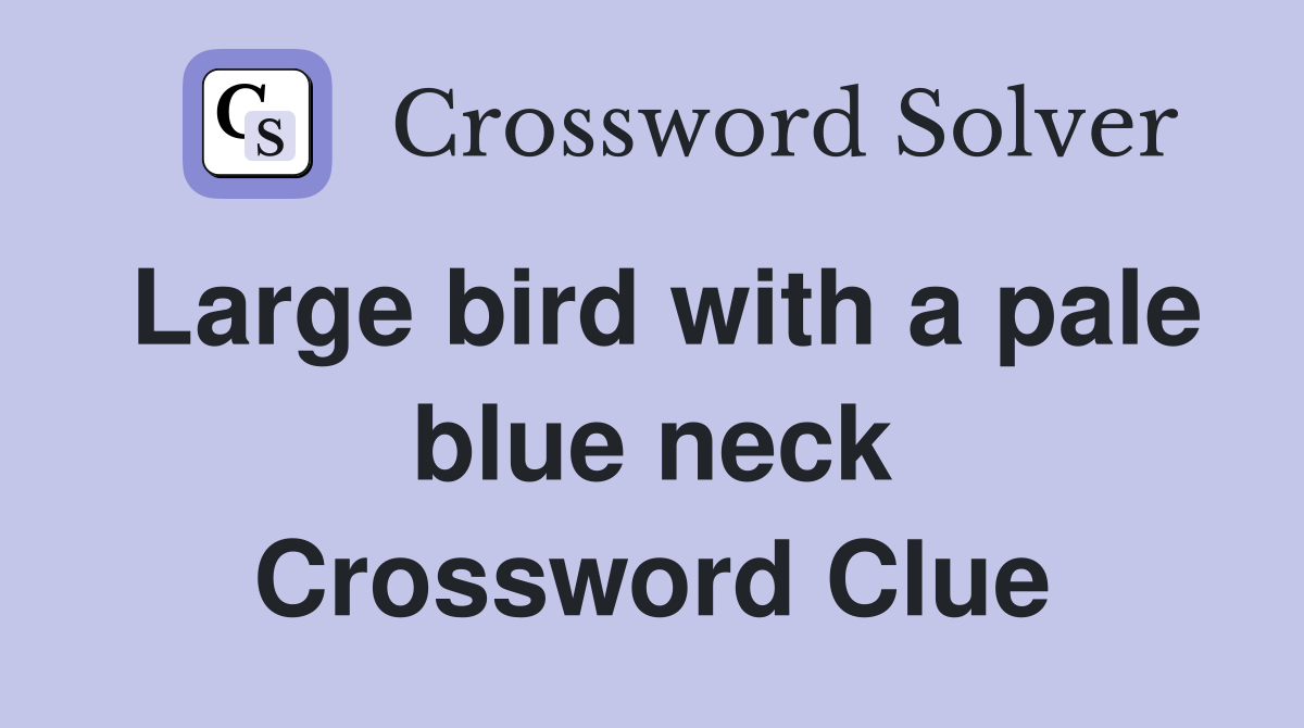 Large bird with a pale blue neck Crossword Clue