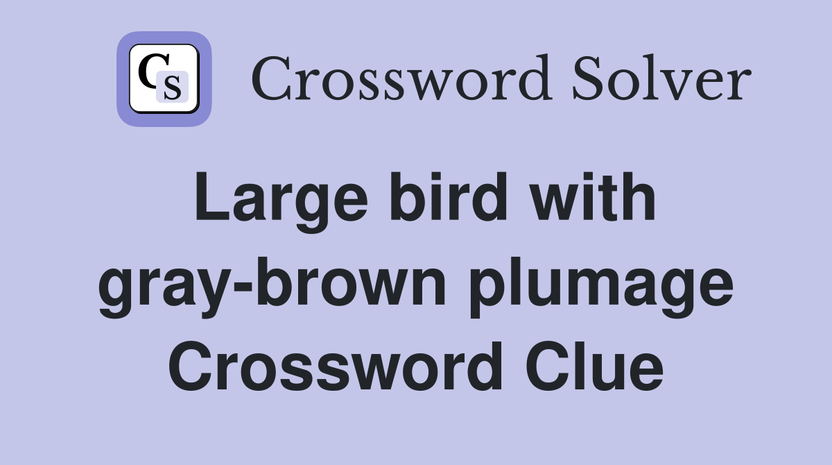 Large bird with gray-brown plumage Crossword Clue