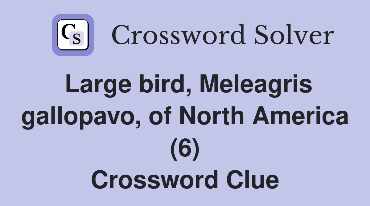 Large bird, Meleagris gallopavo, of North America (6) Crossword Clue