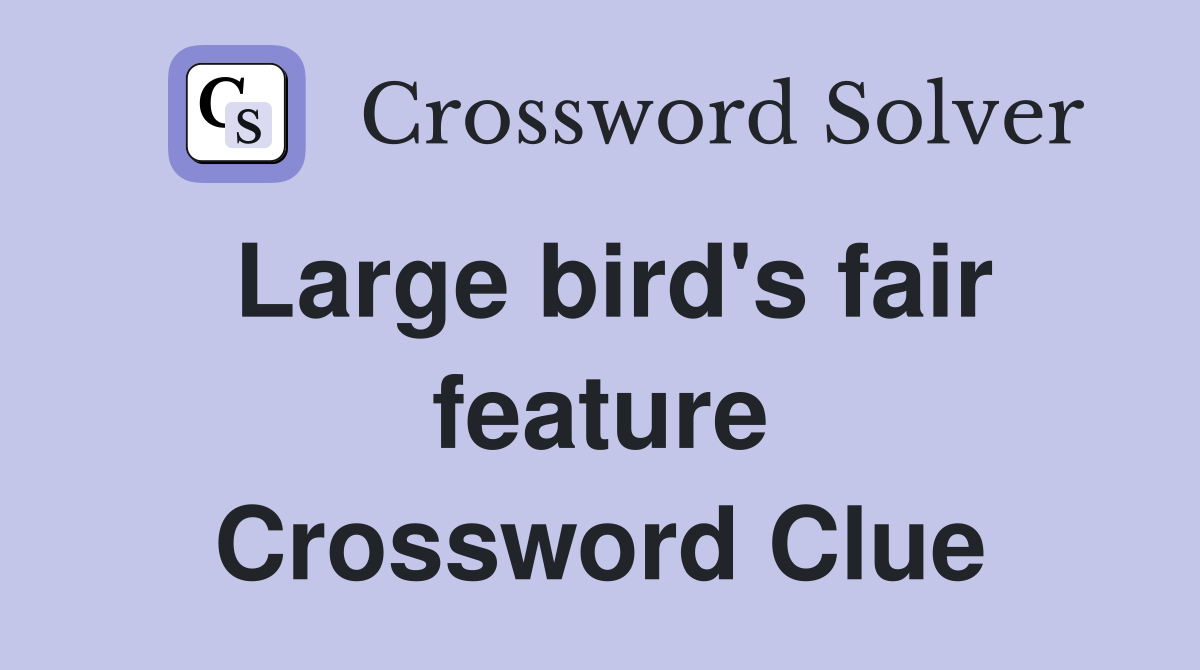 Large bird's fair feature Crossword Clue