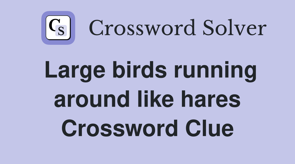 Large birds running around like hares Crossword Clue