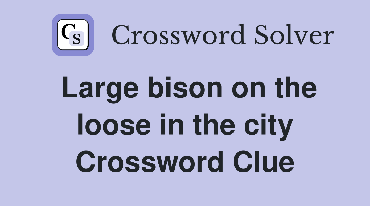 Large bison on the loose in the city Crossword Clue
