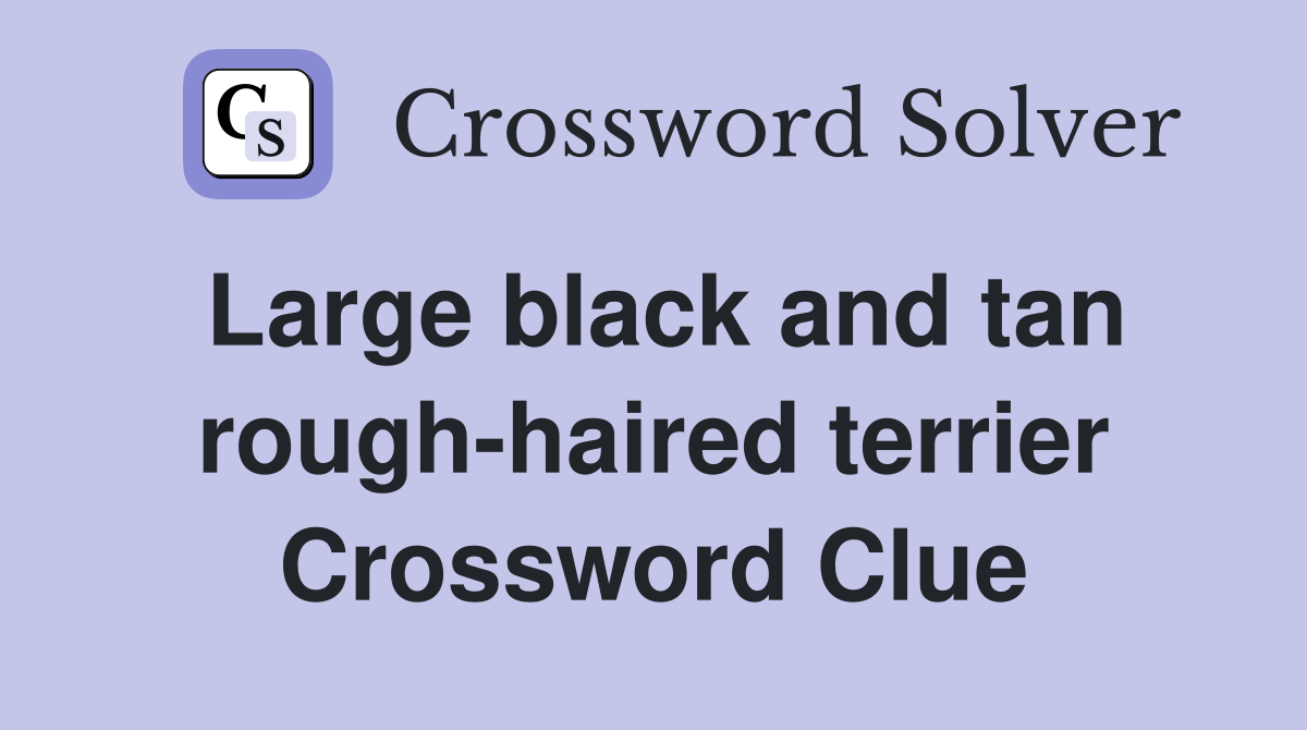 Large black and tan rough-haired terrier Crossword Clue