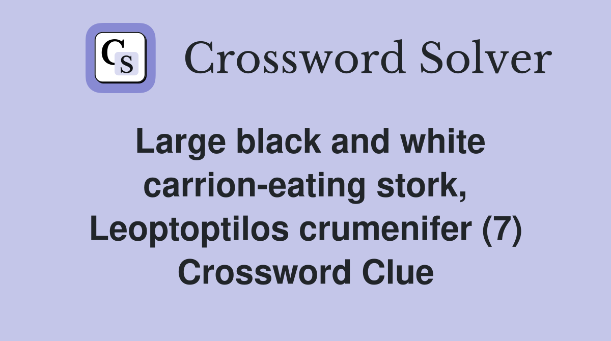 Large black and white carrion-eating stork, Leoptoptilos crumenifer (7) Crossword Clue