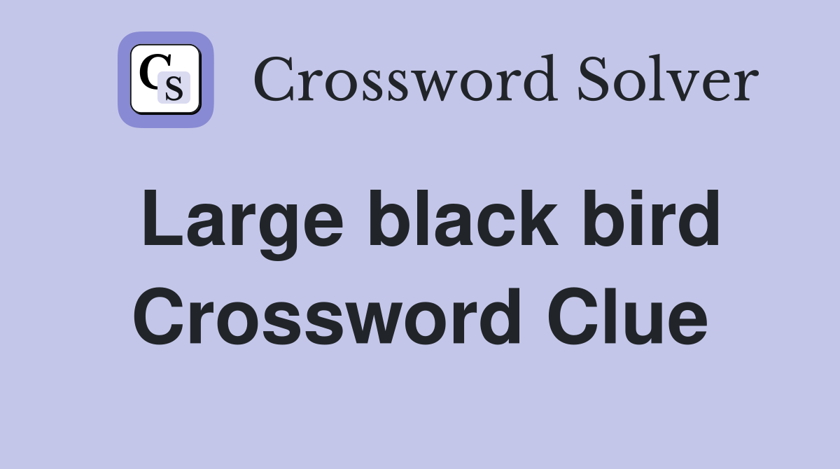 Large black bird Crossword Clue