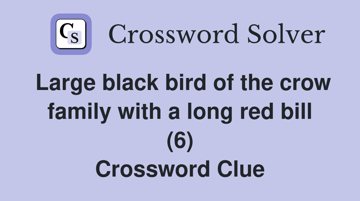 Large black bird of the crow family with a long red bill (6) Crossword Clue