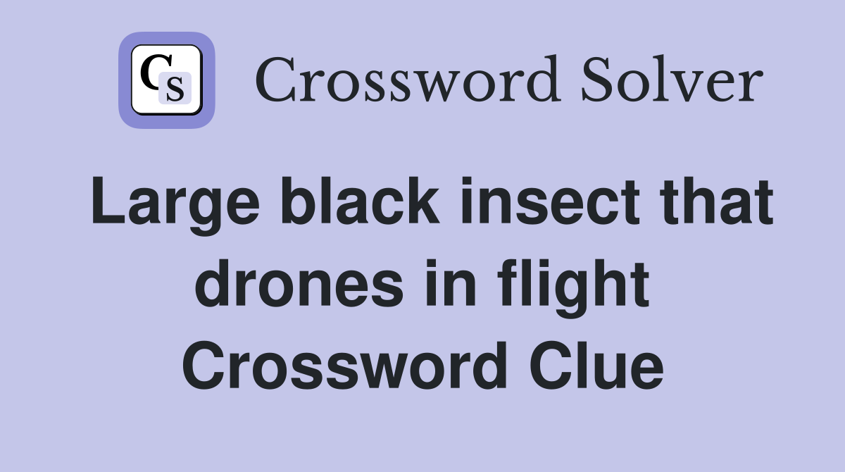 Large black insect that drones in flight Crossword Clue