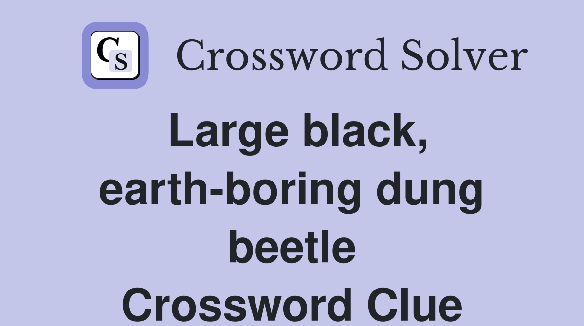 Large black, earth-boring dung beetle Crossword Clue