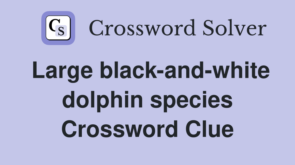 Large black-and-white dolphin species Crossword Clue