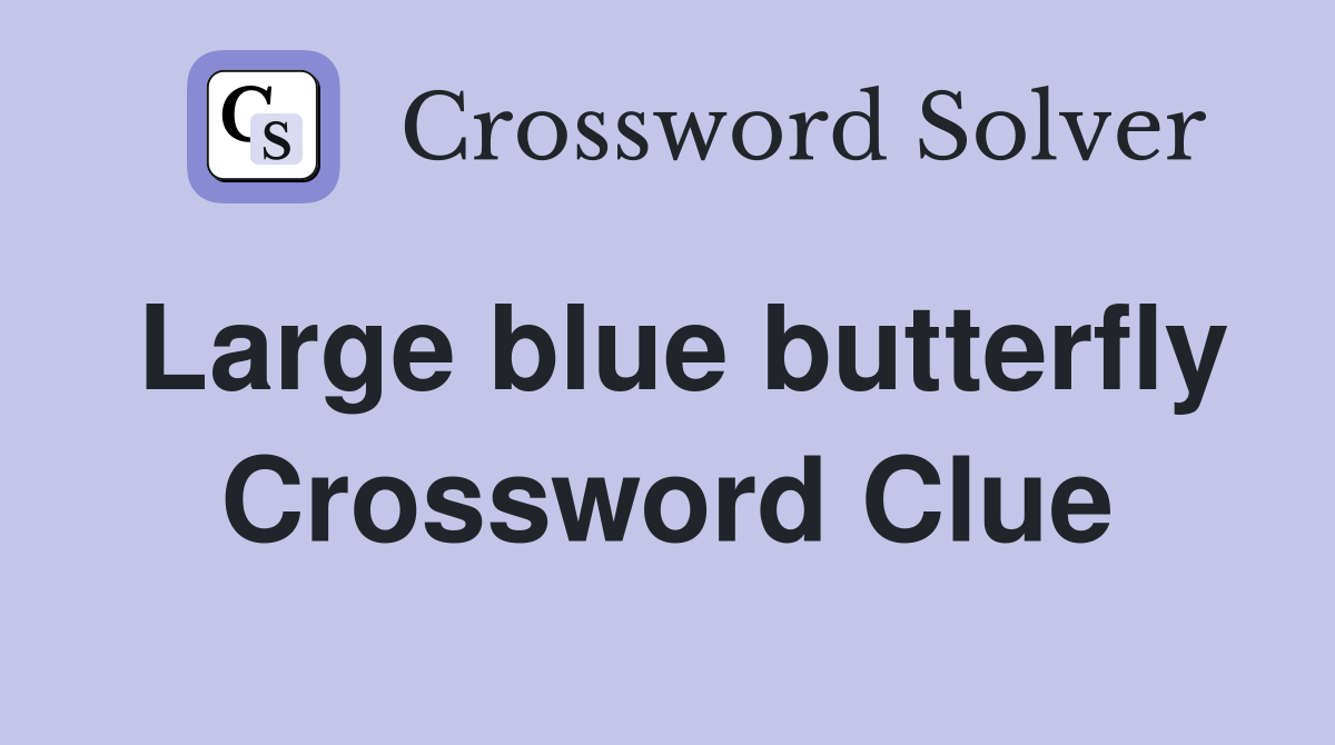 Large blue butterfly Crossword Clue