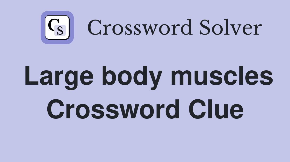 Large body muscles Crossword Clue