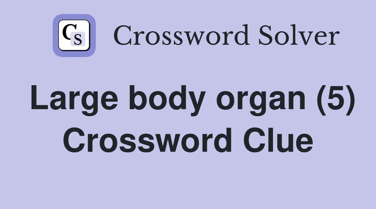 Large body organ (5) Crossword Clue
