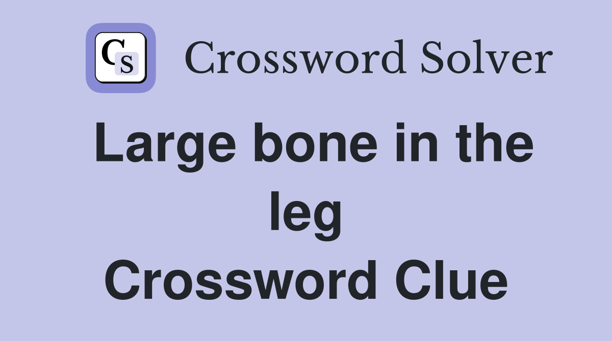Large bone in the leg Crossword Clue