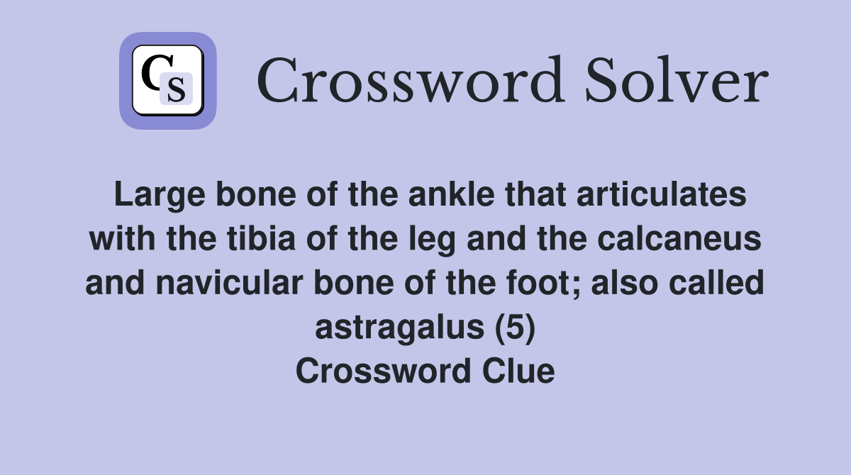 Large bone of the ankle that articulates with the tibia of the leg and the calcaneus and navicular bone of the foot; also called astragalus (5) Crossword Clue