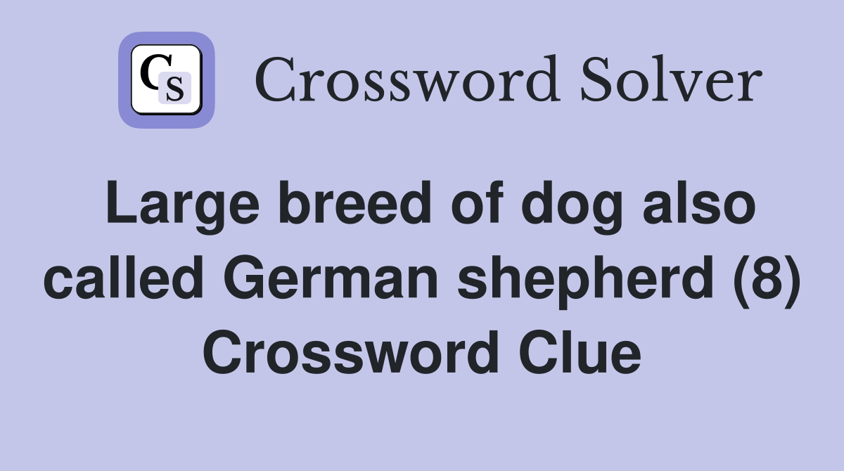 Large breed of dog also called German shepherd (8) - Crossword Clue ...