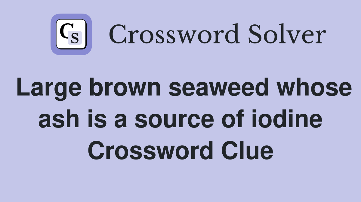 Large brown seaweed whose ash is a source of iodine Crossword Clue