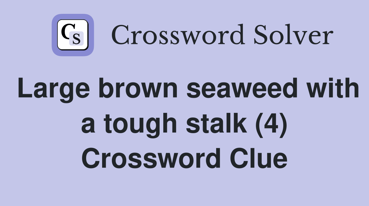 Large brown seaweed with a tough stalk (4) Crossword Clue