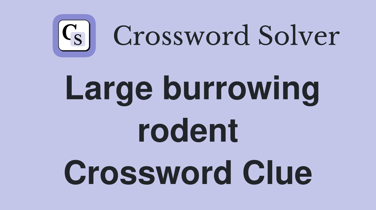Large burrowing rodent Crossword Clue
