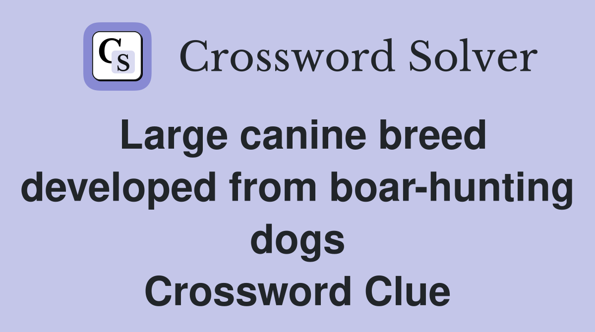 Large canine breed developed from boar-hunting dogs Crossword Clue