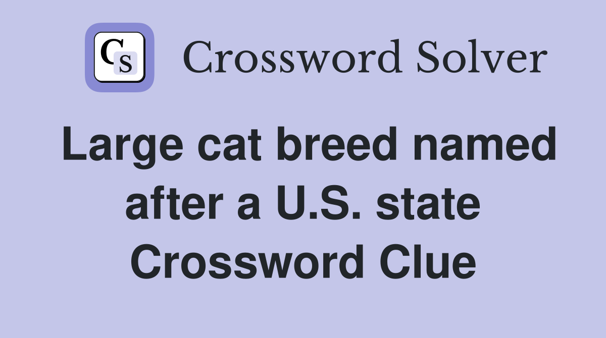 Large cat breed named after a U.S. state Crossword Clue
