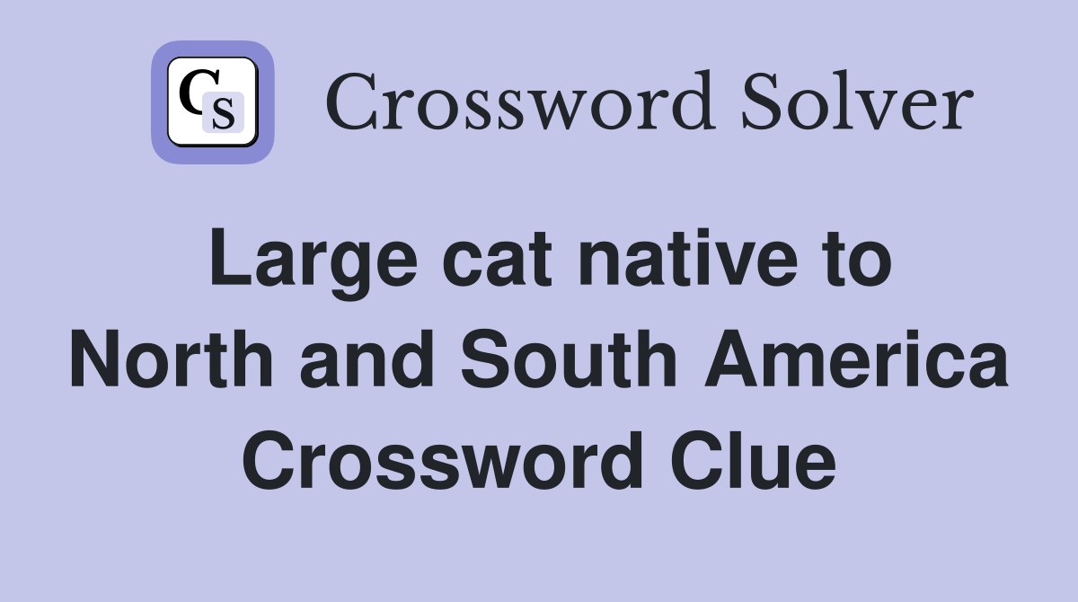 Large cat native to North and South America Crossword Clue