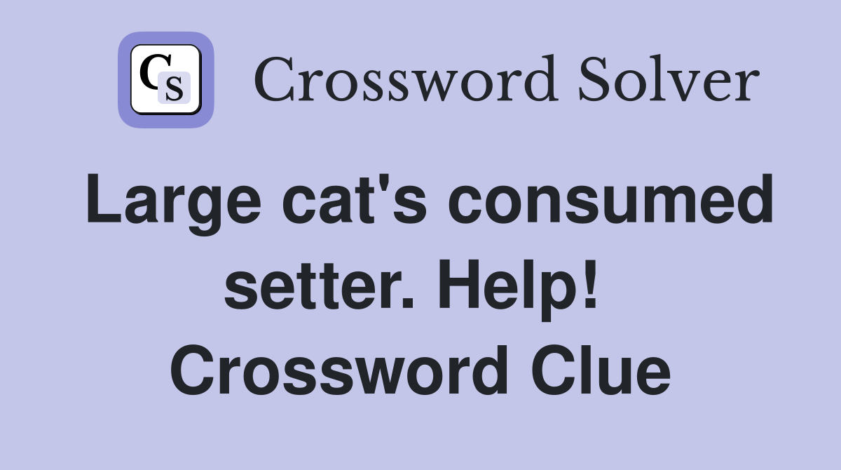 Large cat's consumed setter. Help!  Crossword Clue