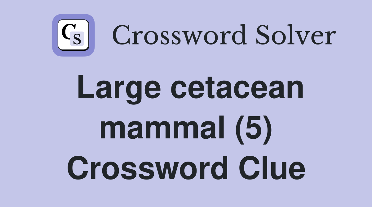Large cetacean mammal (5) Crossword Clue