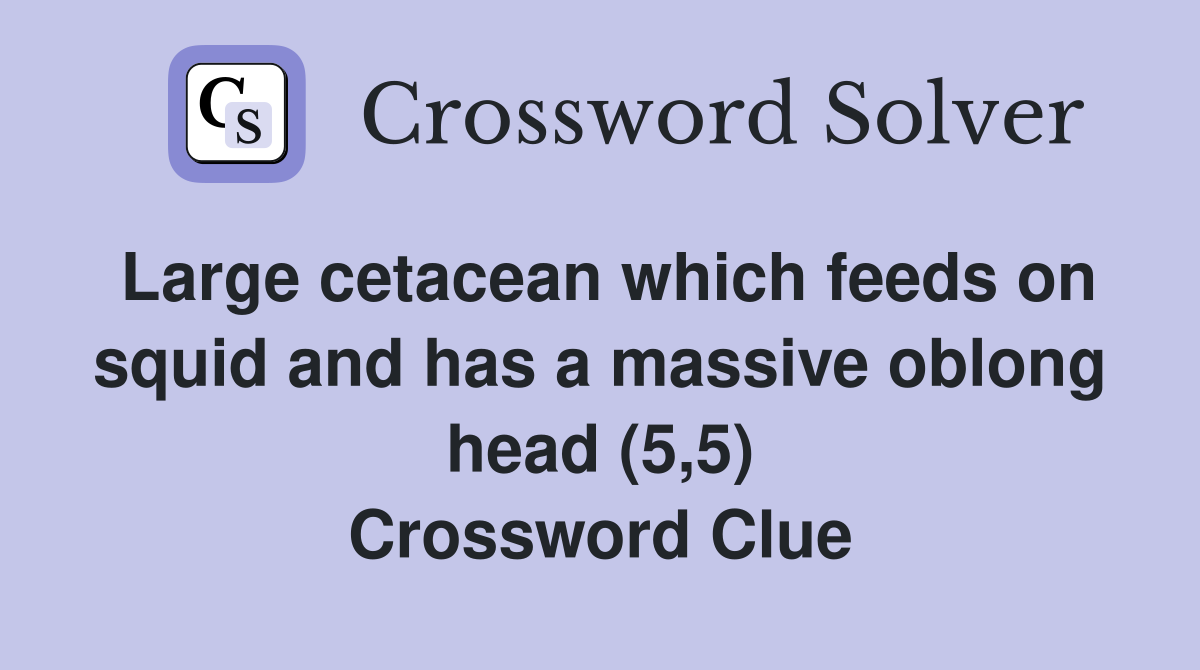 Large cetacean which feeds on squid and has a massive oblong head (5,5) Crossword Clue