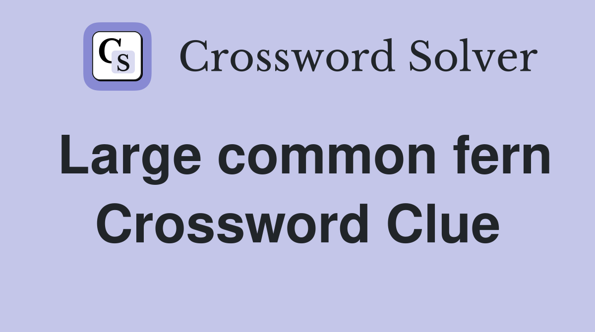 Large common fern Crossword Clue