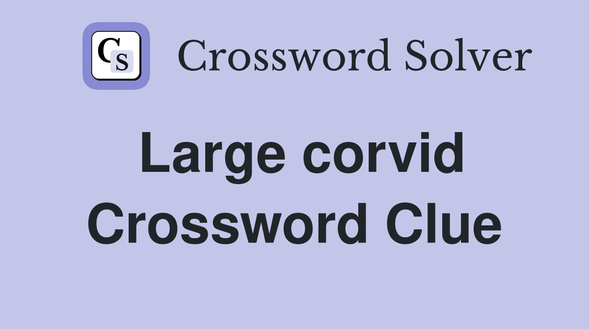 Large corvid Crossword Clue