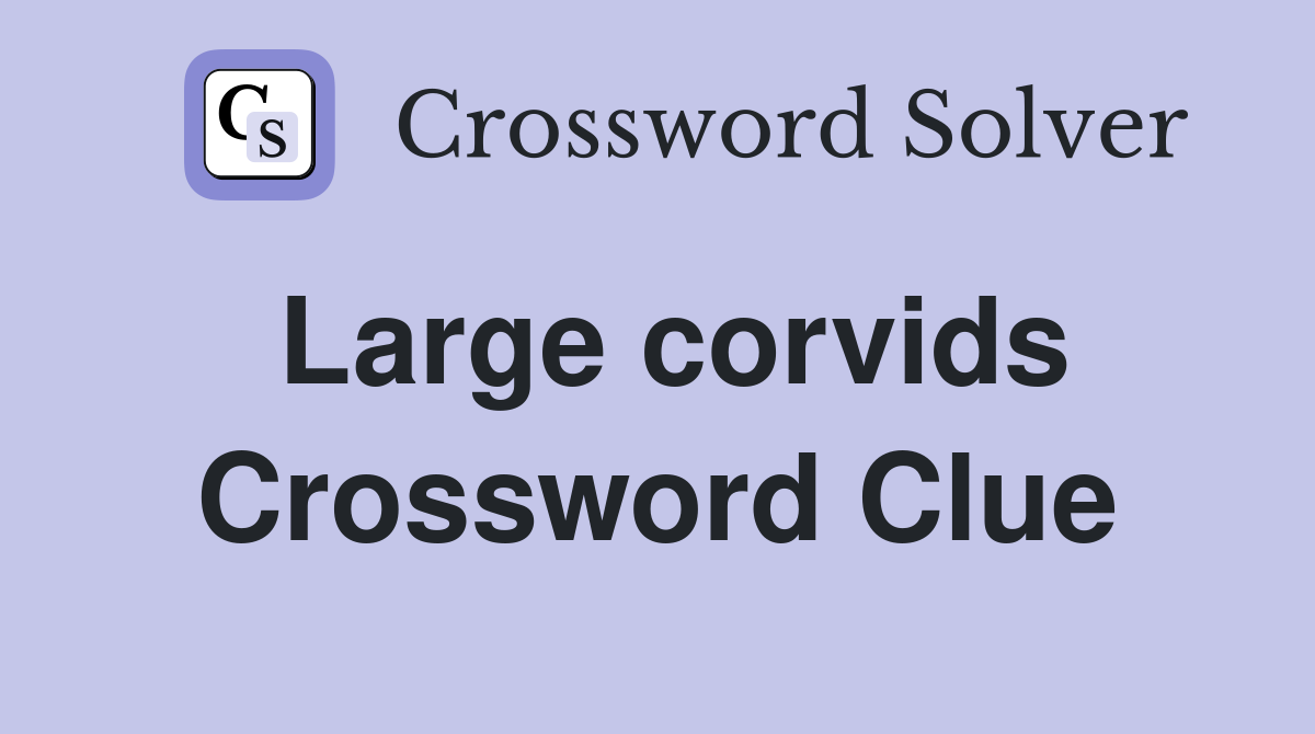 Large corvids Crossword Clue