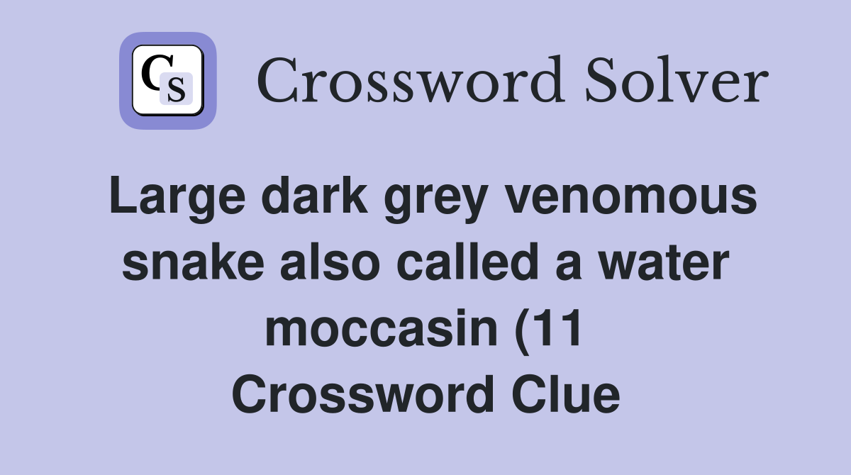 Large dark grey venomous snake also called a water moccasin (11 Large dark grey venomous snake also called a water moccasin (11