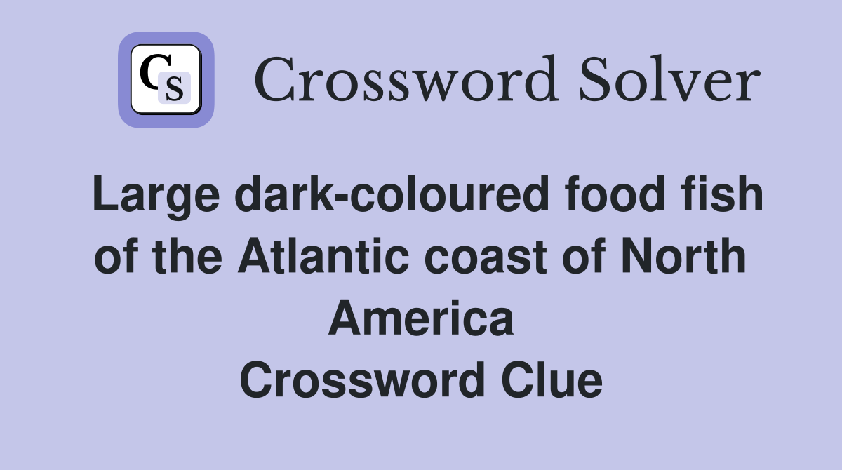 Large dark-coloured food fish of the Atlantic coast of North America Crossword Clue