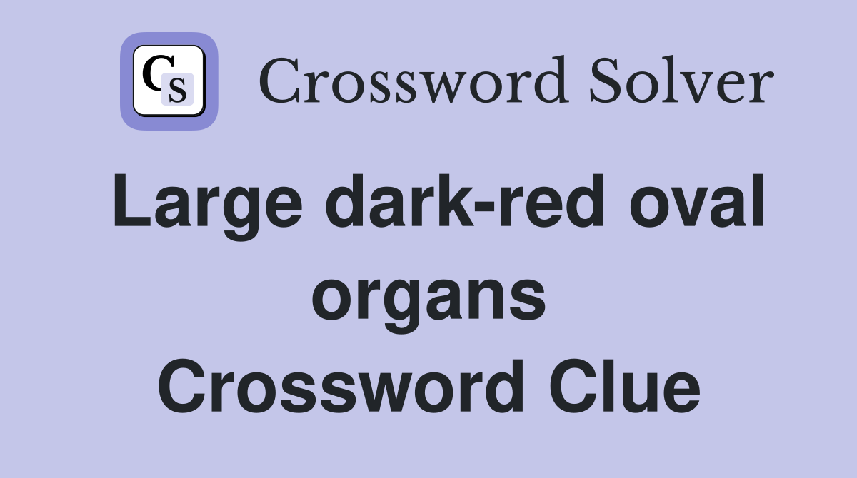 Large dark-red oval organs Crossword Clue