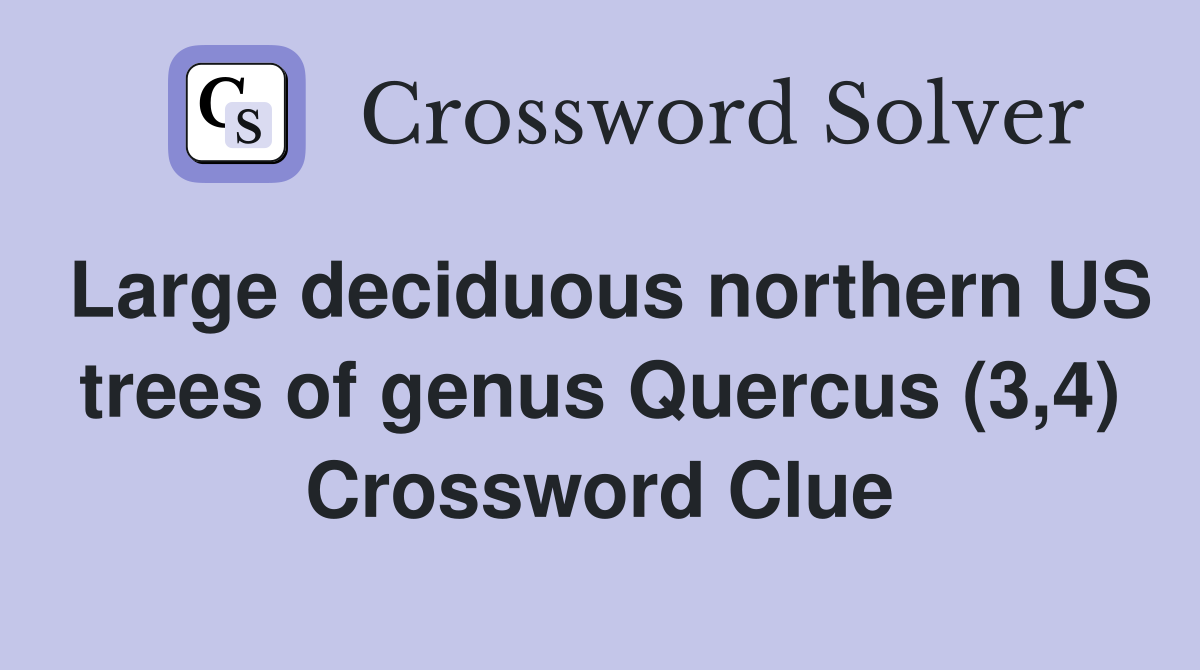 Large deciduous northern US trees of genus Quercus (3,4) Crossword Clue