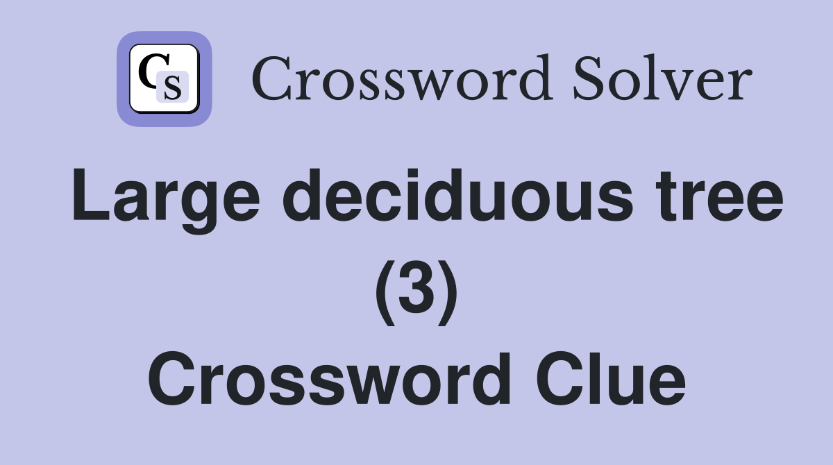 Large deciduous tree (3) Crossword Clue