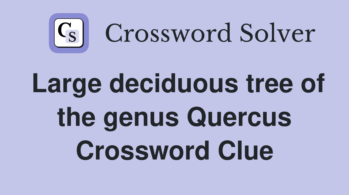 Large deciduous tree of the genus Quercus Crossword Clue
