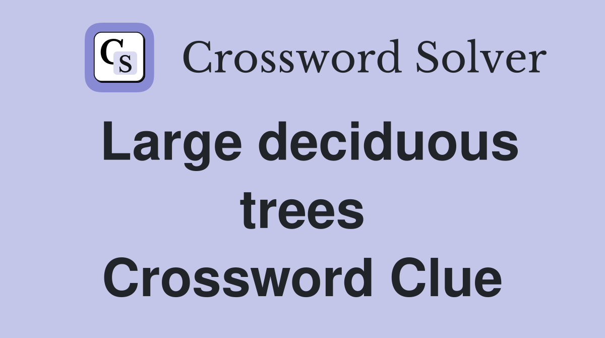 Large deciduous trees Crossword Clue