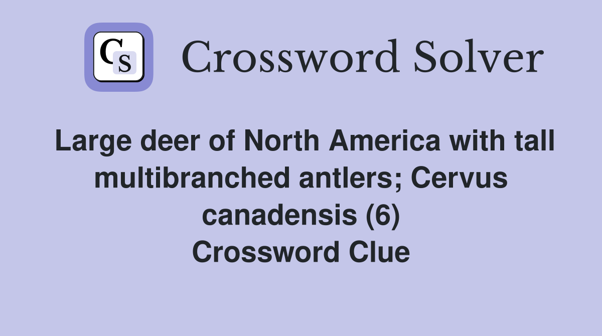 Large deer of North America with tall multibranched antlers; Cervus canadensis (6) Crossword Clue