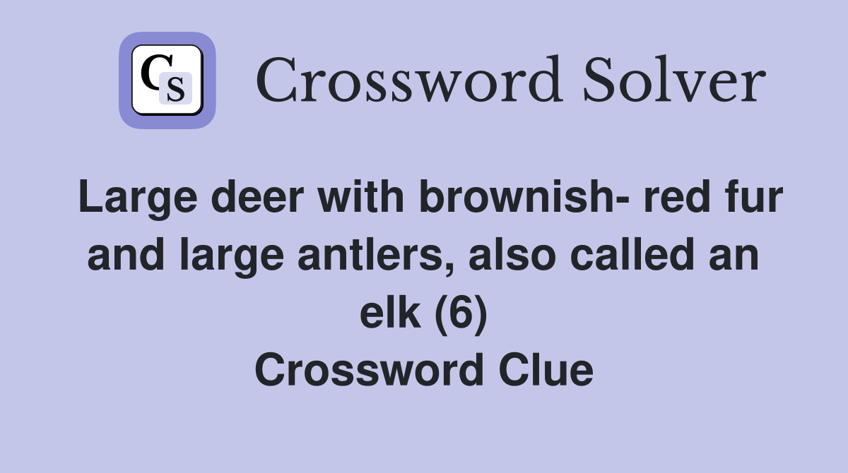 Large deer with brownish- red fur and large antlers, also called an elk (6) Crossword Clue