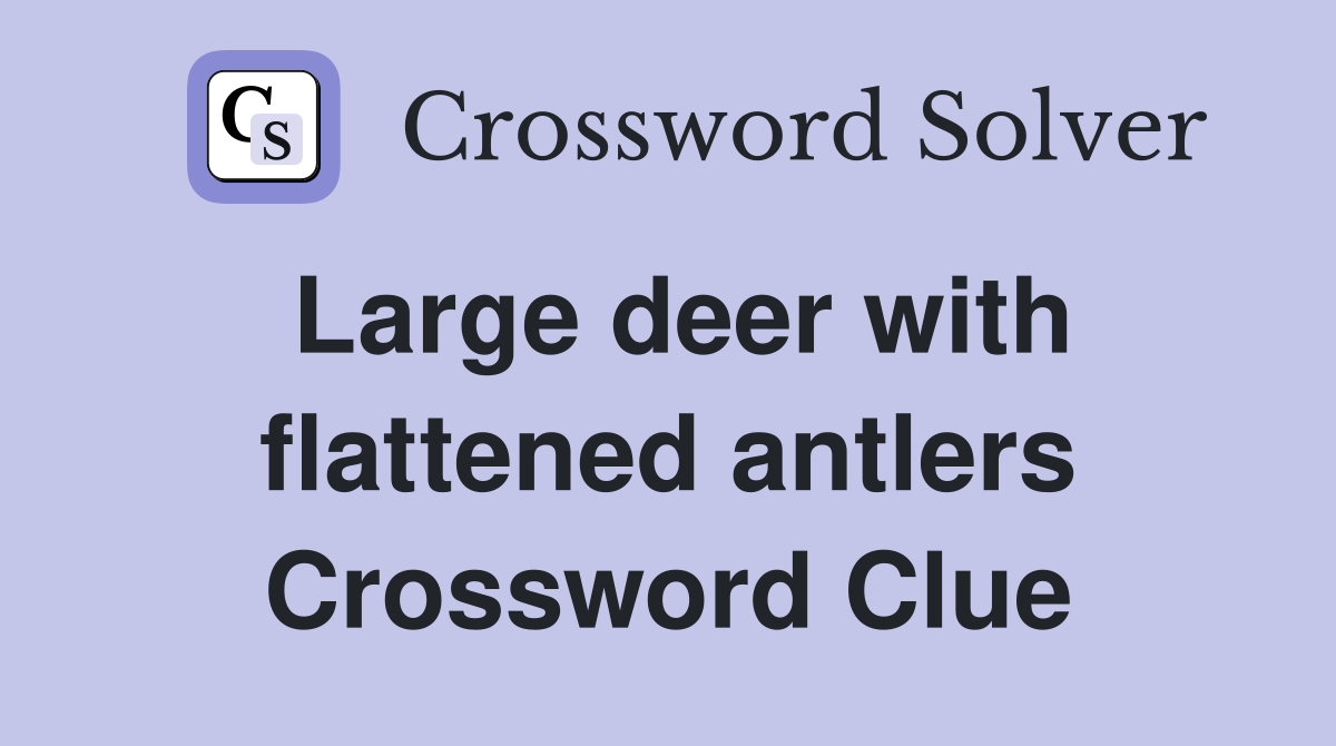 Large deer with flattened antlers Crossword Clue